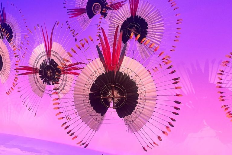 Amazonia. Une exposition pour voir le monde autrement